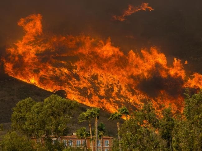 تلفات آتش سوزی کالیفرنیا به ۳۱ نفر رسید