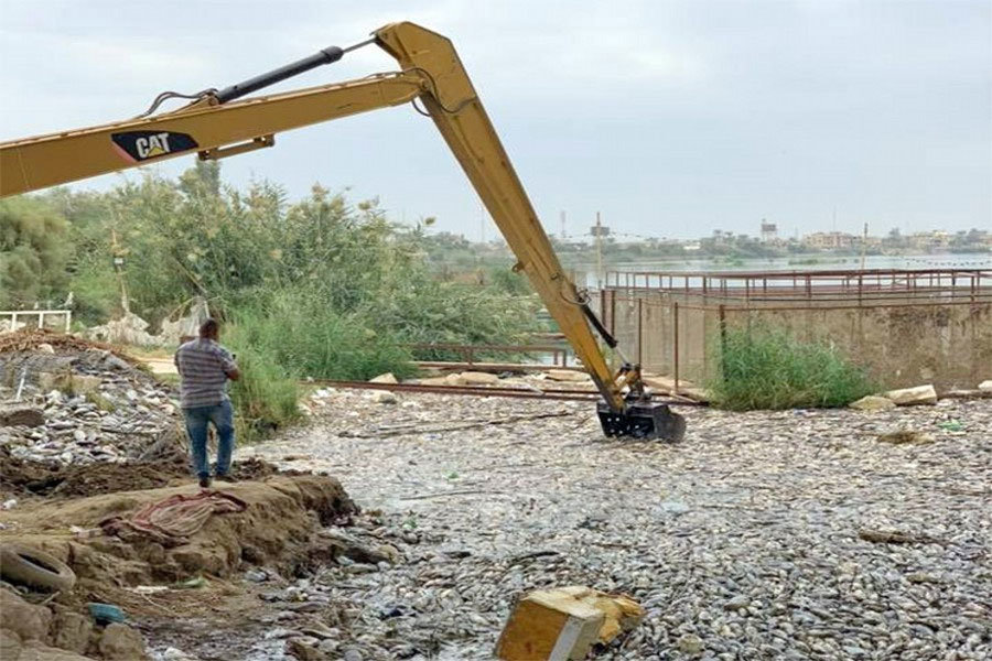 ماهی‌های عراق بخاطر آلودگی رودخانه می‌میرند