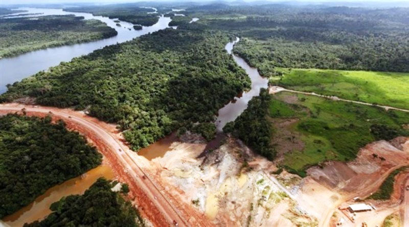 تخریب جنگل‌های آمازون بیش از ۱۳درصد افزایش یافت