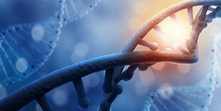 پیش‌بینی طول عمر با بررسی DNA