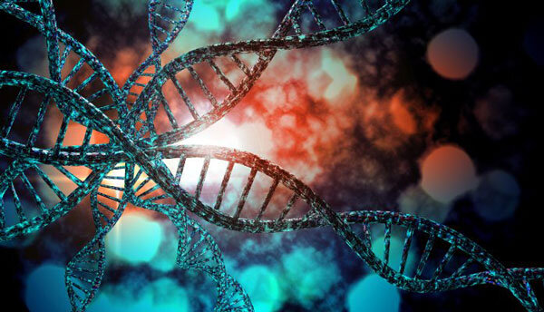 دستگاه تکثیر ژن توسط پژوهشگران دانشگاه شریف ساخته شد