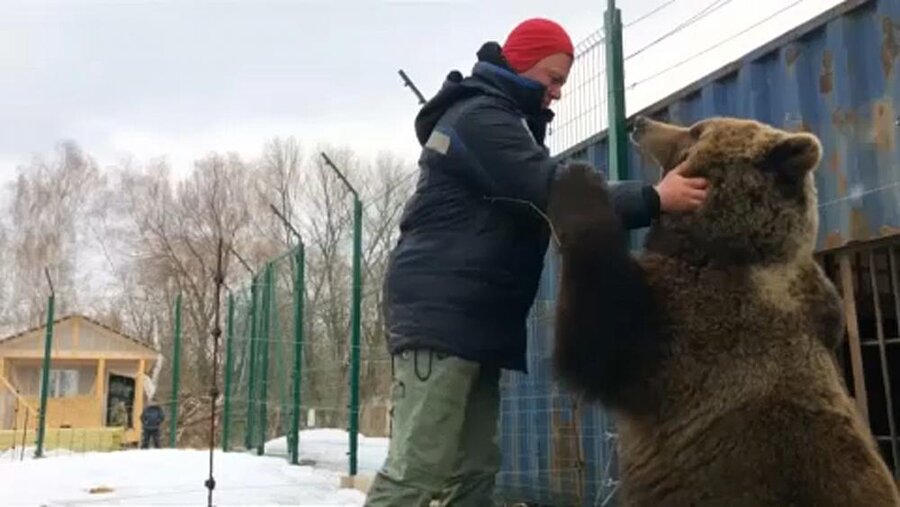 خوش‌وبش‌ خلبان روس و خرس