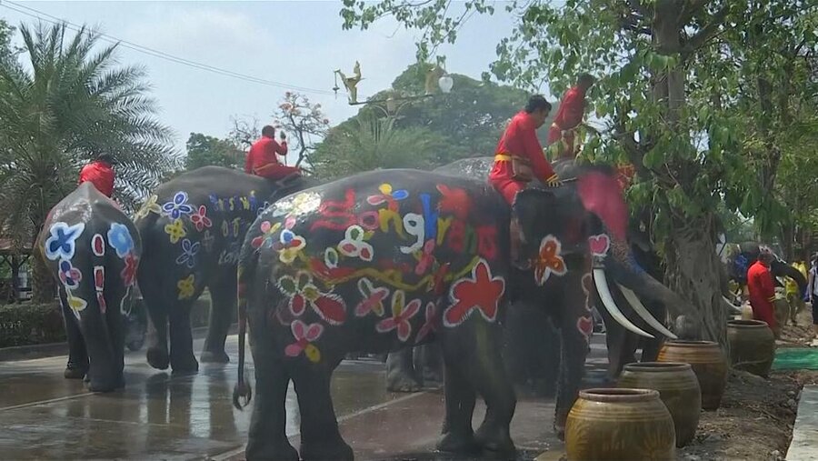 عکس | مراسم آب بازی با فیل‌ها در تایلند