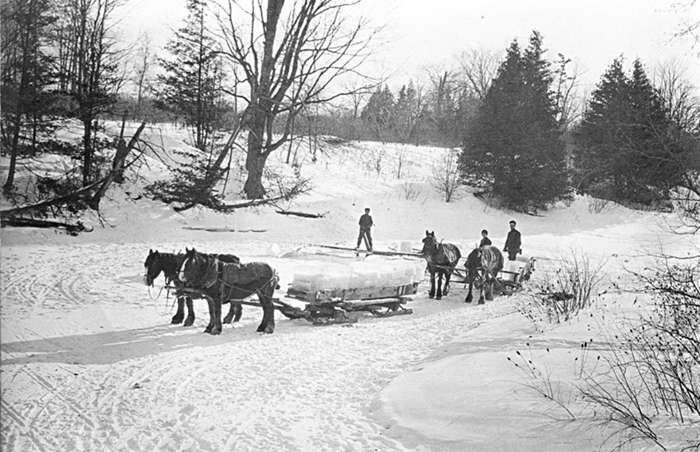تصاویر واقعی از شغلهای منسوخشدهای که اسم آنها را هم نشنیدهاید