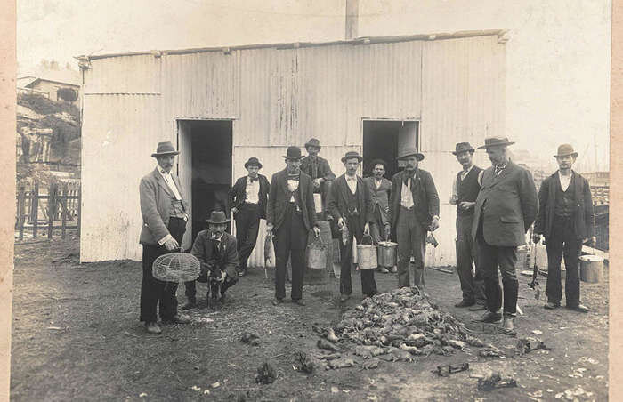 تصاویر واقعی از شغلهای منسوخشدهای که اسم آنها را هم نشنیدهاید