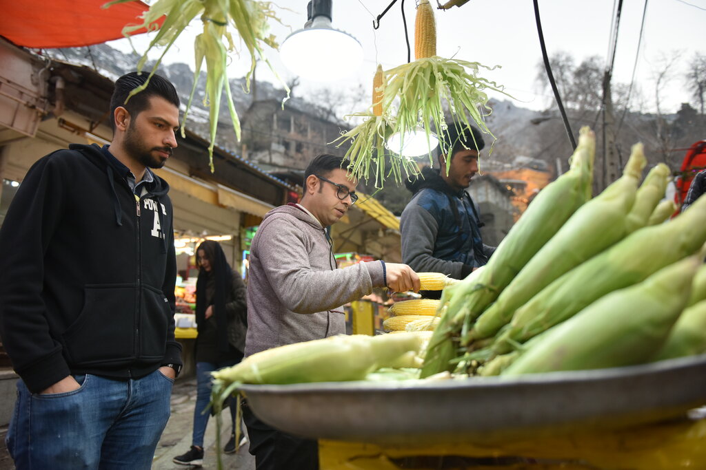 لبو و باقالی هزار تومانی چند شد؟ | شیر بلال اینور بازار ۲۰ هزار تومان | قیمت روز لبو، باقالی، ذرت مکزیکی و ...