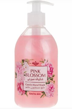 مایع دستشویی چقدر گران شد؟ | قیمت جدید انواع مایع دستشویی در بازار