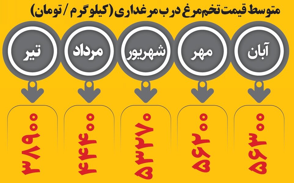 پوستاندازی قیمت تخممرغ | چرا تخم مرغ گران شد؟