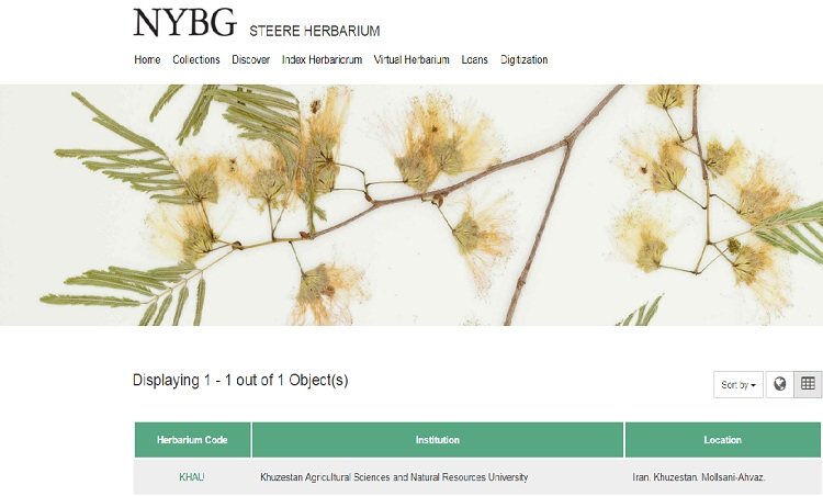 شبکه هرباریوم‌های متصل به باغ گیاه‌شناسی نیویورک