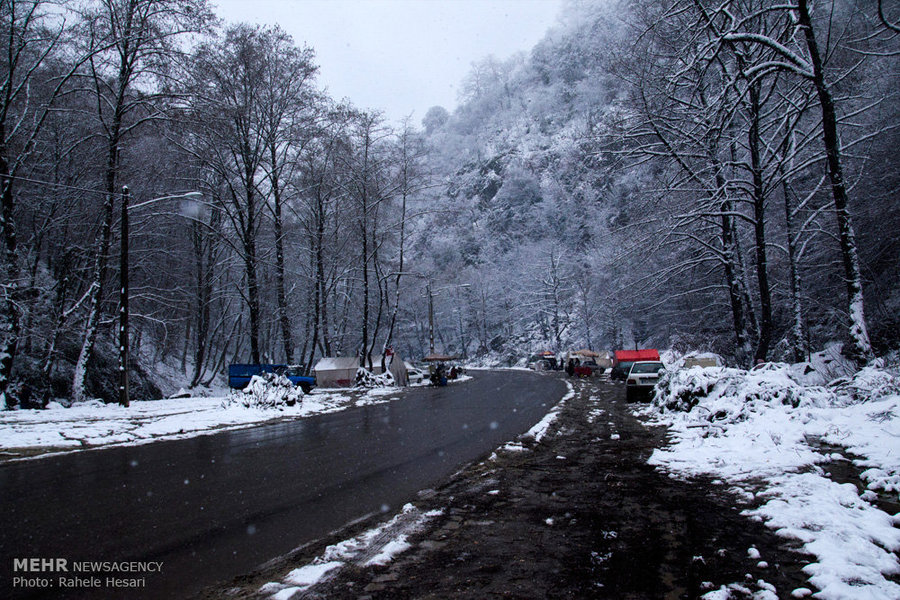 بارش برف در محورهای کوهستانی البرز/مسیرهای ارتباطی باز است