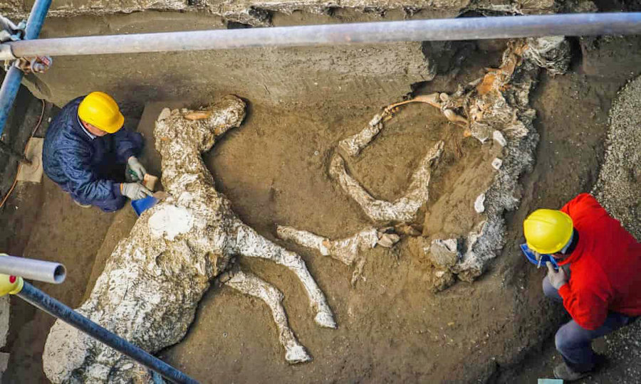 بقاياي اسب در شهر مدفون پمپئي