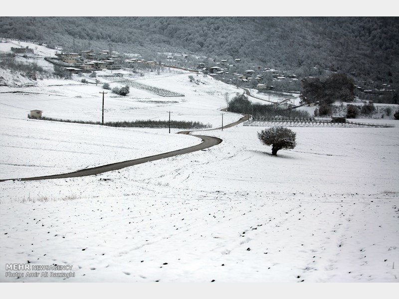سرما و برف در ارتفاعات مازندران