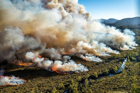 آتش در جان یک پارک استرالیا