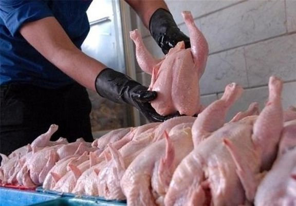 کاهش قیمت مرغ از نیمه فروردین سال آینده