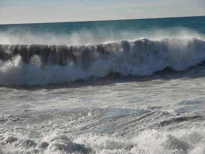 موج