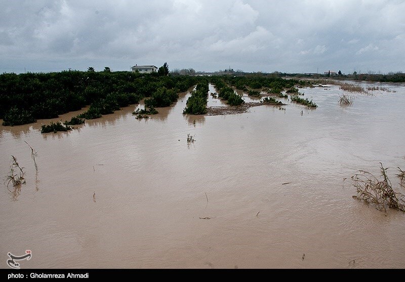 ۲۳ هزار نفر از عشایر شرق گلستان در سیلاب گرفتار شدند