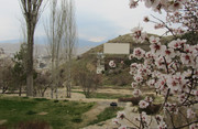 سفر به استان کردستان
