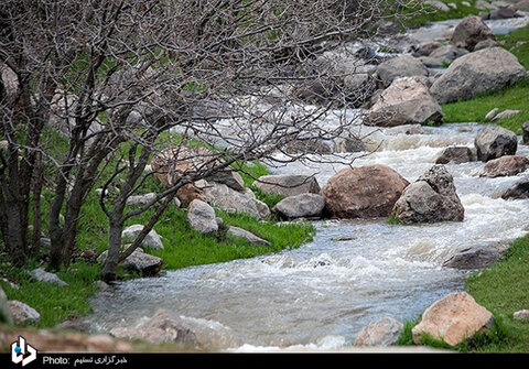 طغیان آبشار تافه بعد از ۱۸ سال - کرمانشاه/تصاویر