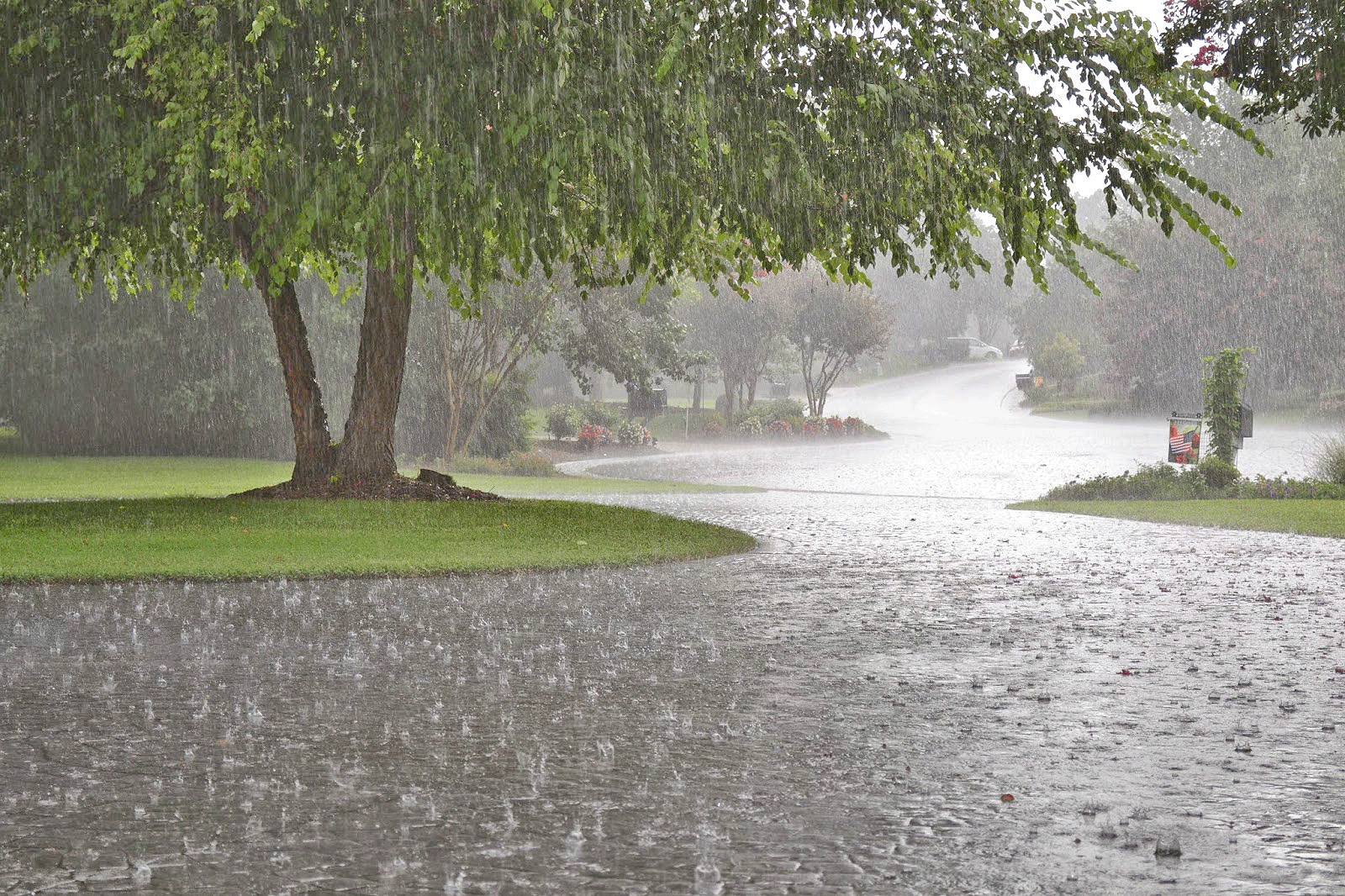 بارش باران در ۷ استان کشور باران