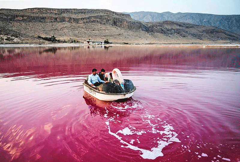 قرمزی آب دریاچه مهارلو شیراز ناشی از جلبک بی‌خطر است