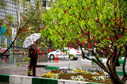 دمای هوای مناطق مختلف تهران در سیزده به در | امکان بارش برف و سقوط بهمن | کاهش شدید دما در همه شهرهای استان