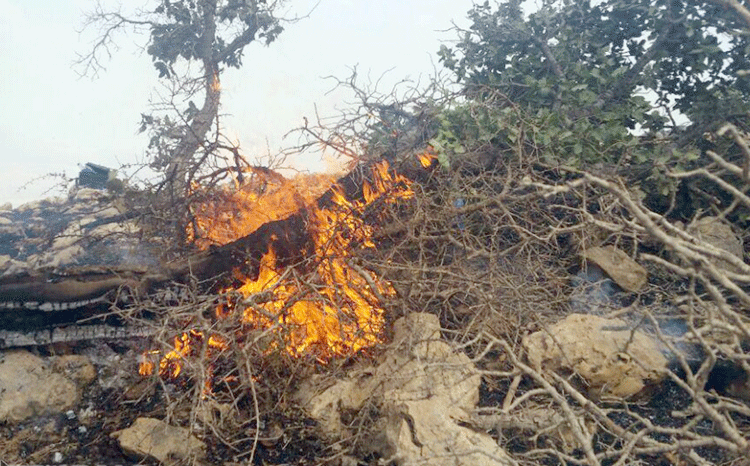 آتش سوزی جنگل در کرمانشاه