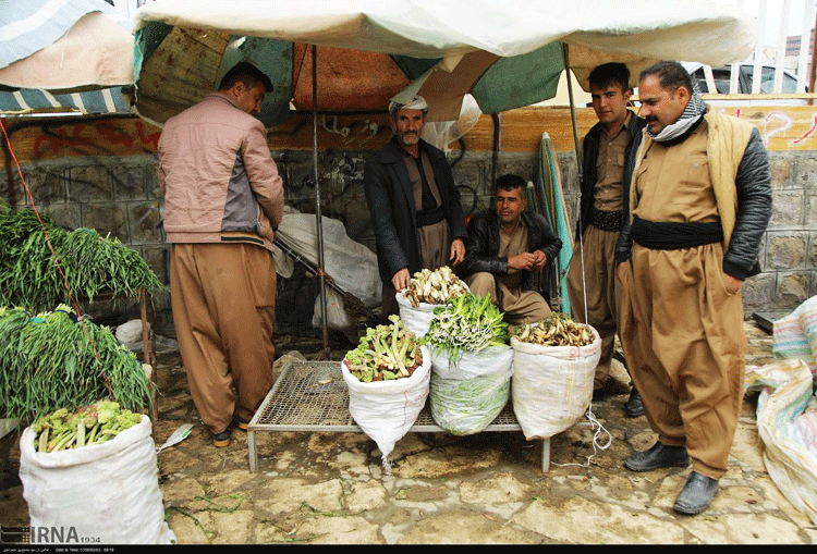 بازار فروش گیاهان بهاری در شهرستان بانه‌
