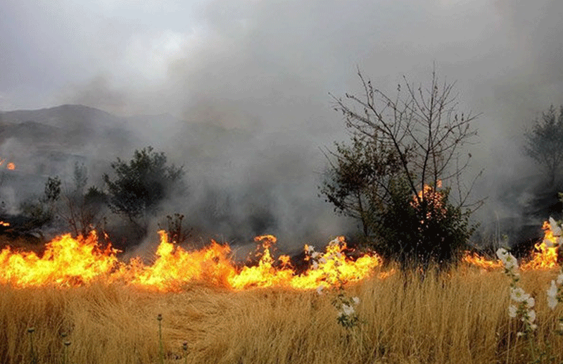 کشاورزان از آتش زدن علف‌های هرز در مزارع خودداری کنند