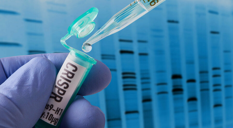 احتمال مرگ زودرس اولین نوزادان مهندسی ژنتیکی شده دنیا