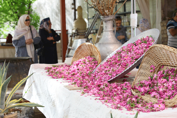صادرات 8 میلیون دلاری گلاب از اصفهان