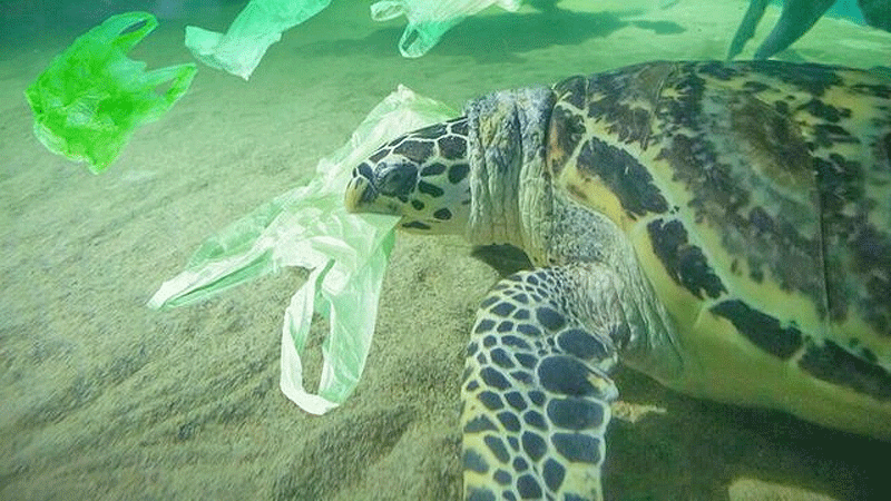 کاهش زباله‌های پلاستیکي اقیانوس‌ها در اولویت نشست گروه ۲۰