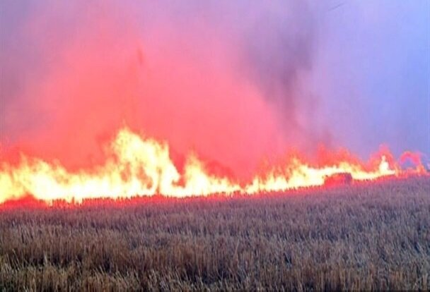 آتش‌سوزی گسترده در تپه باستانی هگمتانه همدان