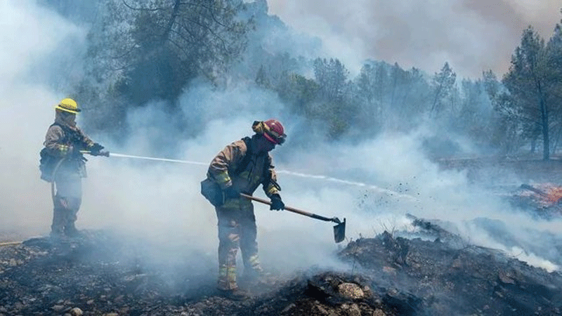 وقوع ۱۳۸۱ آتش‌سوزی جنگلی در اتحادیه اروپا