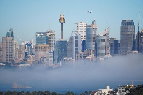 سیدنی در مه