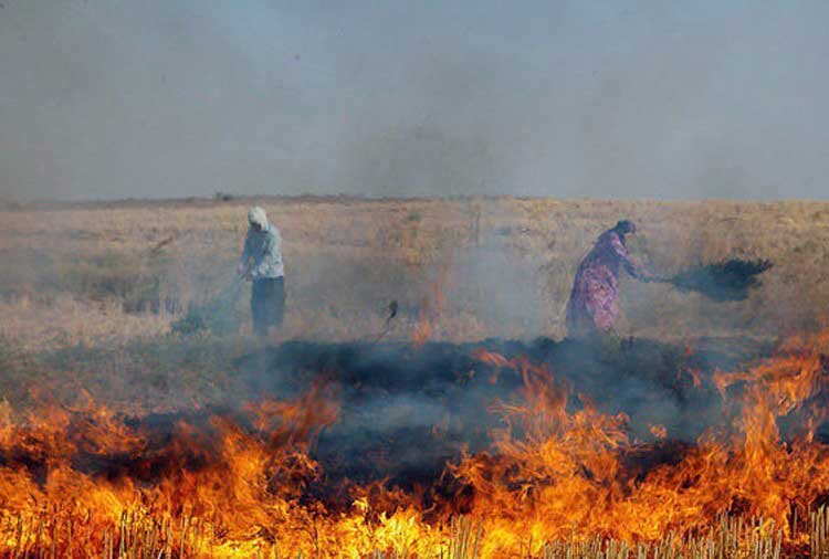 آسیب‌های آتش زدن مزارع به خاک