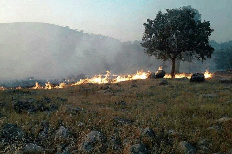 ۸۰ هکتار از مراتع و پوشش جنگلی دالاهو در آتش سوخت