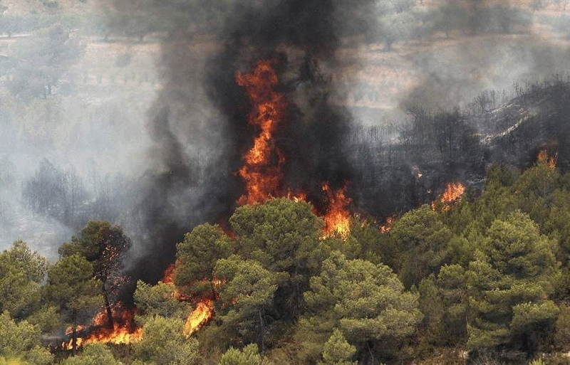 افزایش ۳۰ درصدی آتش‌سوزی جنگل‌ها