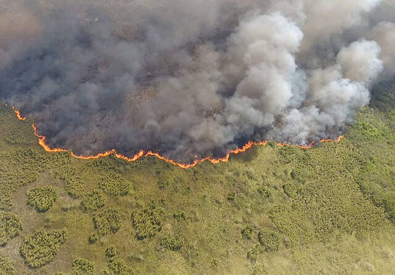آتش‌سوزی در منطقه حفاظت‌شده مکزیک