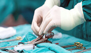 عکس | مارمولک عجیبی که در اتاق عمل به جراح کمک می‌کند!
