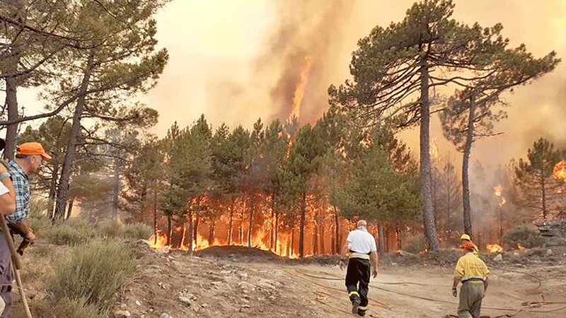 ۳۰ نفر در آتش‌سوزی‌های جنگلی پرتغال مصدوم شدند