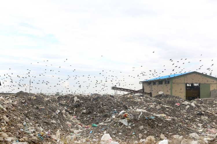 فرصت‌سوزی با زباله‌سوزی