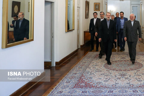دیدار رییس مجلس شورای اسلامی با محمد جواد ظریف