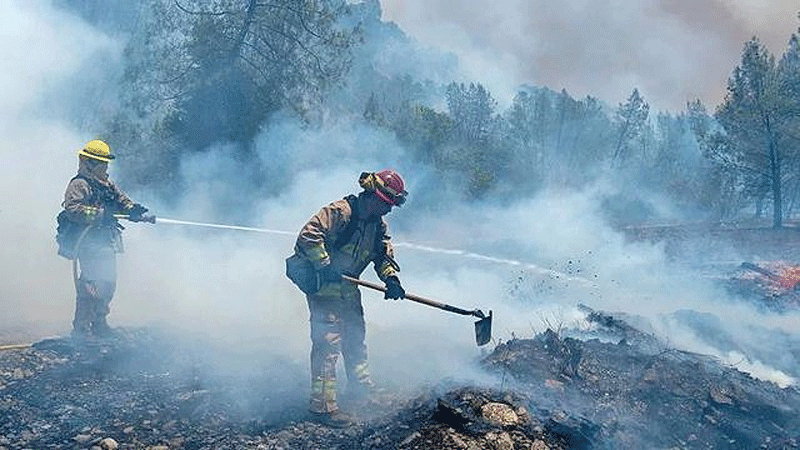 هشدار صلح سبز به گسترش آتش‌سوزی جنگلی در سیبری