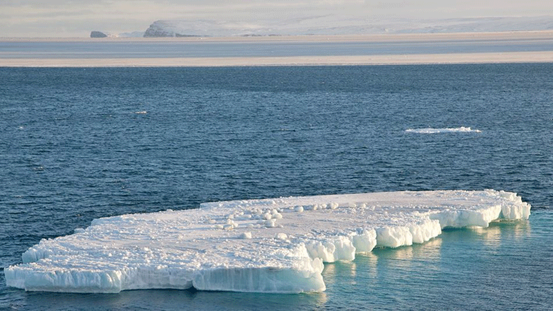 دریای یخی آلاسکا کاملا ذوب شده است