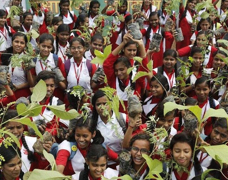 کاشت ۲۲۰ میلیون اصله درخت در هند در یک روز