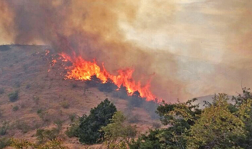 خسارت آتش‌سوزی در جنگل‌های ارسباران ۱۰۰ هکتار تخمین زده شد