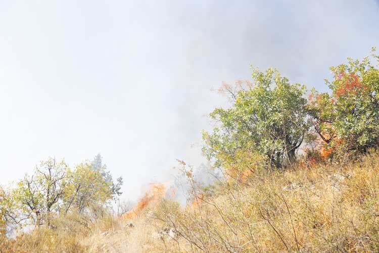 آتش زیر خاکستر در  ارسباران