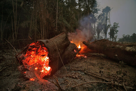 آتش در آمازون