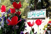 پایتخت در حال حرکت به سمت "تهران، شهر خانواده‌"| کنشگری زنان نقطه مقابل عملکردهای غربی و فمنیستی|  تهران ۲۲ شهربانو،۹ بوستان بانوان و۷ شهردخت دارد