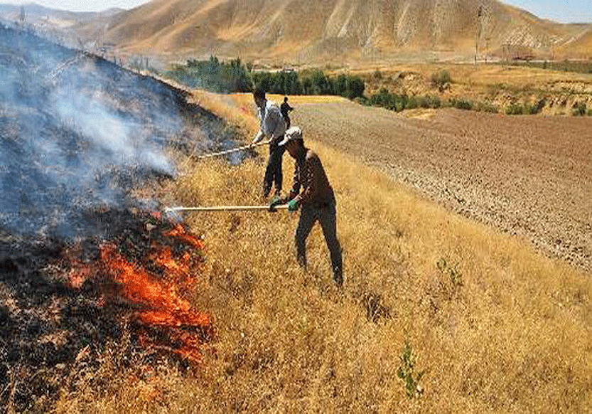 کشاورزان از آتش زدن باقی‌مانده محصولات زراعی خودداری کنند